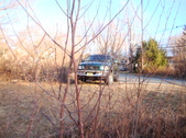 Enlarge photo 542