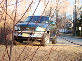 Enlarge photo 545