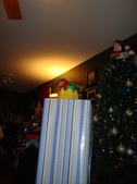Enlarge photo 644