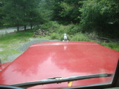 Enlarge photo 44