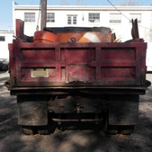 Enlarge photo 8