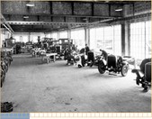 Enlarge photo 59