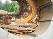 Enlarge photo 42