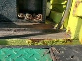 Enlarge photo 19