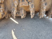 Enlarge photo 33