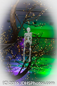 Halloween Monster Ball