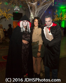 Enlarge photo 40