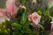 Enlarge photo 45