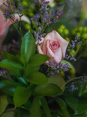 Enlarge photo 46