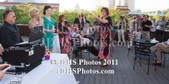 Enlarge photo 48