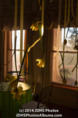 Enlarge photo 21