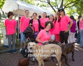 Enlarge photo 59