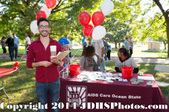 Enlarge photo 34