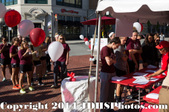 Enlarge photo 46