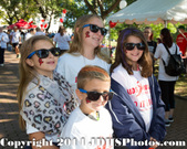 Enlarge photo 58