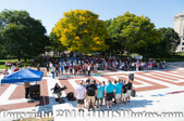 Enlarge photo 81