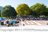 Enlarge photo 83