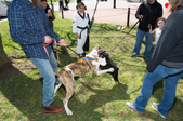 Enlarge photo 31