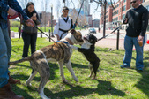 Enlarge photo 34