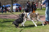 Enlarge photo 40