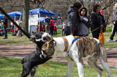 Enlarge photo 43