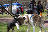 Enlarge photo 44