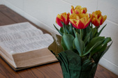 Enlarge photo 5
