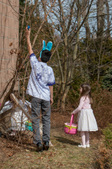 Enlarge photo 49