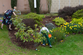 Enlarge photo 27