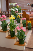 Enlarge photo 15