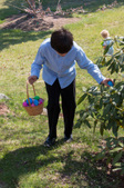 Enlarge photo 48
