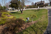 Enlarge photo 28