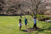 Enlarge photo 40