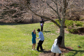 Enlarge photo 41