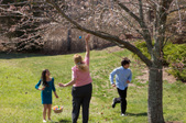 Enlarge photo 44