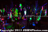 Dark Lady New Year's Eve 2015