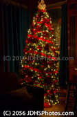 Enlarge photo 78