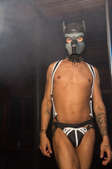 Sex Circus IV