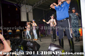 Enlarge photo 48