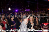 Enlarge photo 57