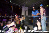 Enlarge photo 93