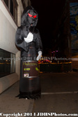 Enlarge photo 17