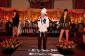 Enlarge photo 382