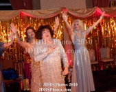 Enlarge photo 484