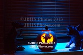 Enlarge photo 12