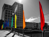 Jennifer's Festival Photos