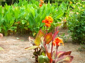 Enlarge photo 18