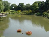 Enlarge photo 17