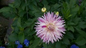 Enlarge photo 30
