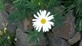 Enlarge photo 31